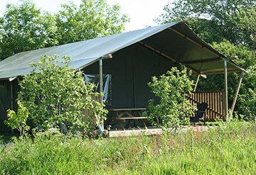Glamping Safari Tents Cornwall