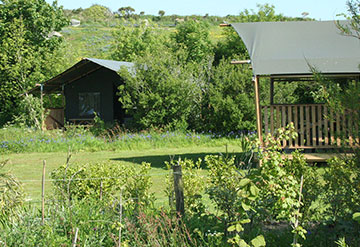 Glamping Safari Tents Cornwall